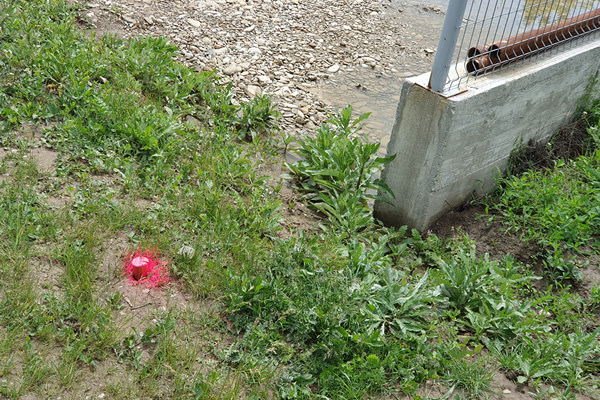 Trasare limită de proprietate